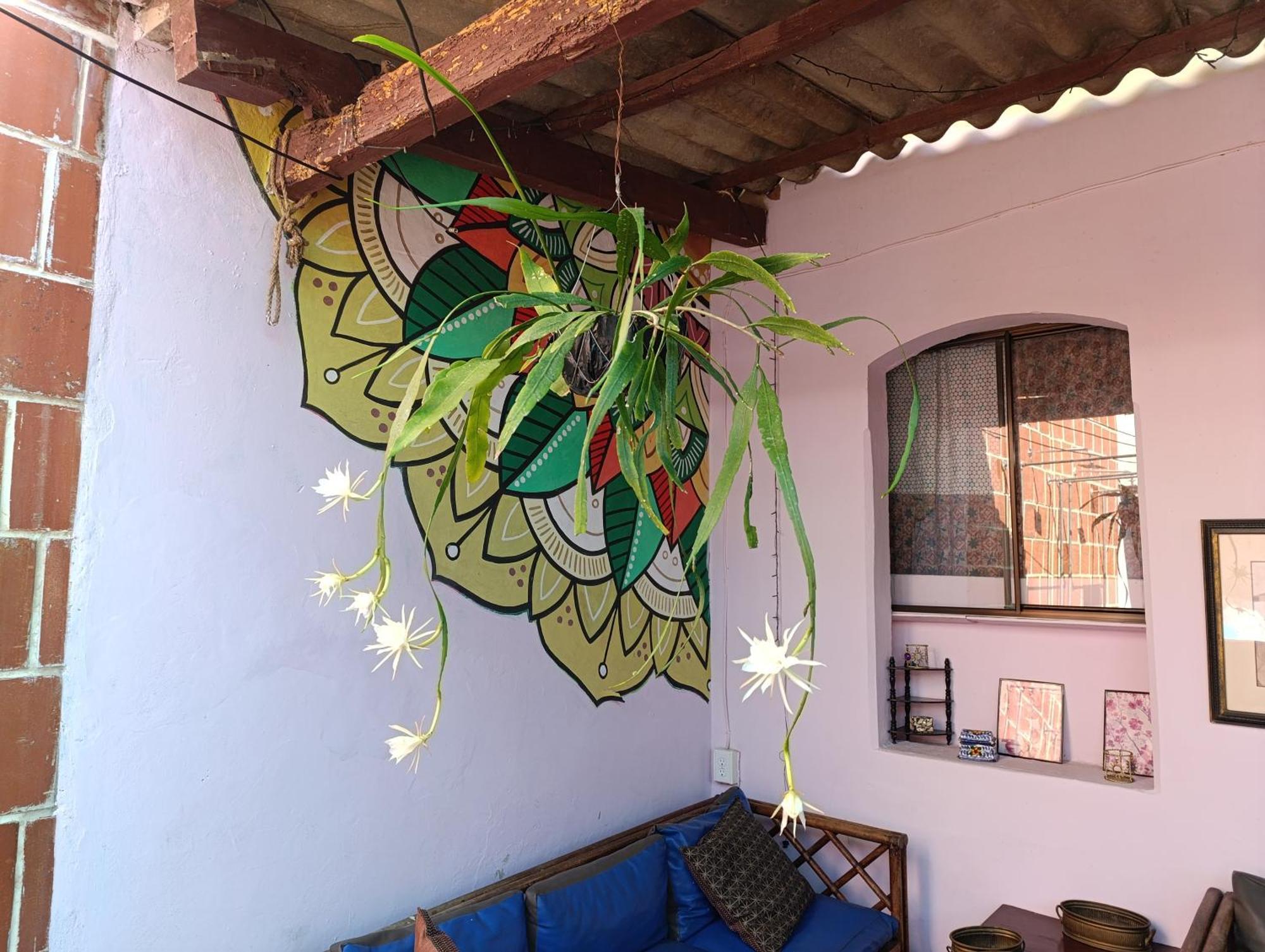 Casa Vieja Guest House 산타 아나 외부 사진